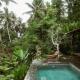 Spacious Villa within Jungle & Private Pool Ubud - Photo 10