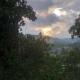 The view