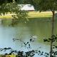 Mallard Cove - lakeside pet friendly, Robbinsville - Fotografie 5