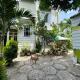De Vong Riverside Homestay, Hoi An - Fotografie 4