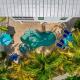 Found Your Sol Mate Gorgeous Home w Pool Spa Steps to Bean Point Dogs OK, Anna Maria - Fotografie 2