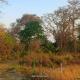 Suraj Homestay, Neoria Husainpur (fotografie 9)