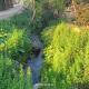Dev Homestay, Neoria Husainpur (fotografie 8)