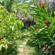 Jungle Hut near Beach - Nature Lovers, Las Terrenas - Fotografie 4