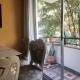 Apartamento céntrico en el poblado, Medellín - Foto 9