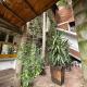 El Encanto Residence, Morelia (Foto 5)
