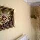 HelenHome, Kutaisi (photo 9)