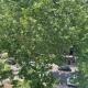 Large 2 bedroom flat Hyde park, London - Foto 4