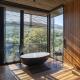 Shamwari Bayethe, Paterson (Foto 10)