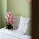 DODI GREEN apartment, Arad (foto 9)