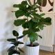 Stylish flat,90m2, in a great central location, Bruxelles - Foto 9