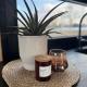 Lieblingsplatz Parey - Tiny House, Parey (foto 3)