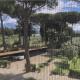 Tranquil location with views of Lake Trasimeno!, Passignano sul Trasimeno (zdjęcie 4)