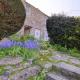 Holly Cottage Swanage - Fotografie 10