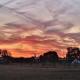 BrackenXcapes Glamping, Newark-on-Trent (Foto 3)