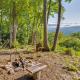 Fire Pit and Views Pet-Friendly Spruce Pine Studio, Spruce Pine - Fotografie 2