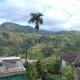 Royal homestay at Misty Mountain, Ella (fotografie 8)