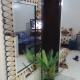 Appartement Bourgogne casa Anfa, Casablanca - Photo 10