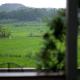 Villa Sare - House with panorama rice field view Yogyakarta - Photo 8