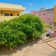 Trinetra Homestays, Tiruvannamalai (fotografie 8)