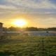 Vanstay glamping in a 25 acre farm, Al Ḩamrānīyah (fotografie 8)