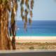 Jandia Sunrise, Your Sweet Holiday Home