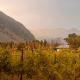 Spacious Getaway Two Homes on a Tranquil Vineyard Ideal for Large Groups, Keremeos (zdjęcie 4)