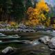 Tupshin Peak Condo, Leavenworth (foto 5)