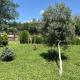 Naro's House, Martvili (photo 9)