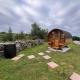 Unique Home with Outdoor Sauna in Connemara Galway - Fotografie 8