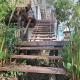 Isla maria, Tigre (photo 6)