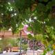 Trullo Nonna Rosa, Antonelli (zdjęcie 2)