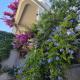 Apartmani Marinović, Podgora (Foto 2)
