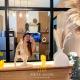 Cozy & Aesthetic walking distance to MOA,near NAIA AIRPORT with NETFLIX,MINIVIDEOKE,BOARDGAMES-DUXE9, Manila - Fotografie 2