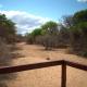 Bush Babies Camp, Cambridge (foto 4)
