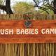Bush Babies Camp, Cambridge (foto 7)