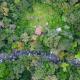 Genderless Jungle, Matale (photo 4)