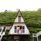 Thottom Stays Vagamon, Vagamon (fotografie 3)