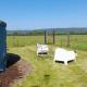 Beautiful Rural Yurt with Wood Fired hot tub, Redlynch (fotografie 7)