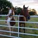 Dog-Friendly Texas Ranch with Patio, Horses On-Site, Aubrey (photo 2)