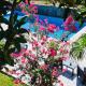 Villa Amore, Buna (Foto 6)