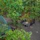 Sleeps 16, Hot Tub, Game Room, Pets, Firepit, Secluded, 2 acres Stephens Gap - Fotografie 7