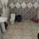 Chambre chez Tapuhere, Huahine (foto 6)
