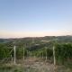 Cascina Calupo, Rodello (foto 3)