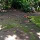 Belmoro Transient House, Bacacay (foto 6)