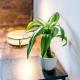 Converted Mill, Stylish Apartment in Castlefield, Manchester - Photo 6