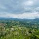 New KYS Resort, Haputale (photo 2)