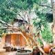 Nera Nature House, Sigiriya (foto 9)