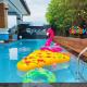 784 poolvilla พูลวิลล่า