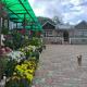 Kashyap Homestay, Soreng (fotografie 3)
